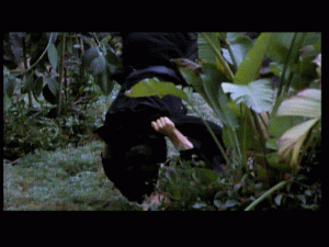 doc0346.gif